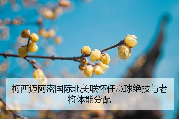 mei-xi-mai-a-mi-guo-ji-bei-mei-lian-bei-ren-yi-qiu-jue-ji-yu-lao-jiang-ti-neng-fen-pei-2-950.jpg