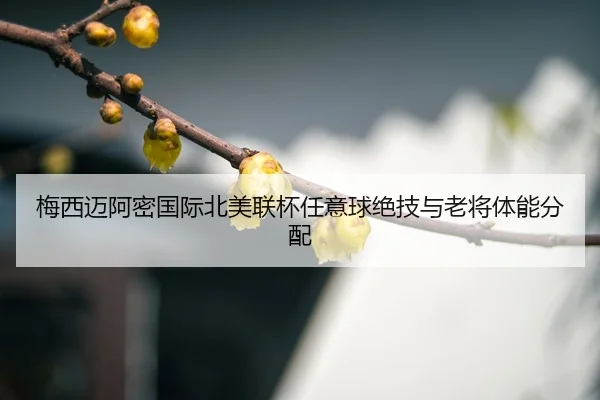 mei-xi-mai-a-mi-guo-ji-bei-mei-lian-bei-ren-yi-qiu-jue-ji-yu-lao-jiang-ti-neng-fen-pei-3-278.jpg