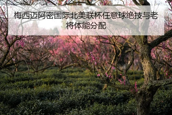 梅西迈阿密国际北美联杯任意球绝技与老将体能分配