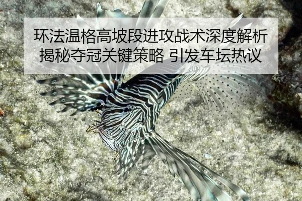 huan-fa-wen-ge-gao-po-duan-jin-gong-zhan-shu-shen-du-jie-xi-jie-mi-duo-guan-guan-jian-ce-lve-yin-fa-che-tan-re-yi-3-226.jpg